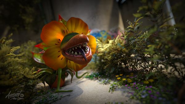 Where Wild Gardens Grow
